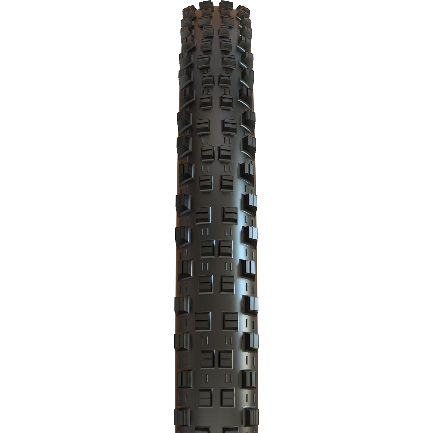 MAXXIS Shorty Gen 2 [All Variants]